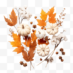 感恩节和秋天的作文南瓜棉花花和