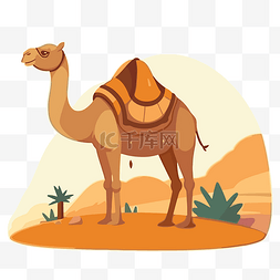骆驼剪贴画骆驼场景 向量