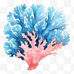 水彩珊瑚蓝