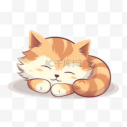 动物卡特图片_可爱的卡哇伊猫睡觉