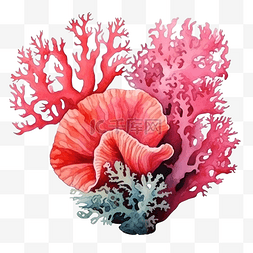 珊瑚色花图片_水彩海珊瑚
