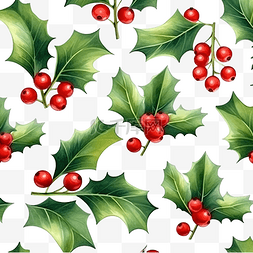 红色浆果图片_圣诞冬青水彩无缝图案绿叶和冬季