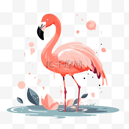 火烈鸟的羽毛图片_火烈鸟剪贴画可爱的粉红色火烈鸟
