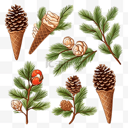 冬天毛皮图片_矢量锥体糖果和毛皮树枝的圣诞收