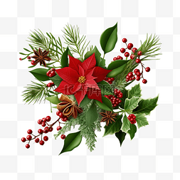 植物与家图片_圣诞花卉小插图与冬青和肉桂