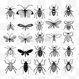 虫子剪影图片_手绘涂鸦插画的昆虫