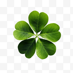 爱尔兰旗图片_圣帕特里克节叶子三叶草三叶草三