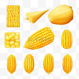 吃庄稼图片_整套和切片玉米圆片和谷物玉米