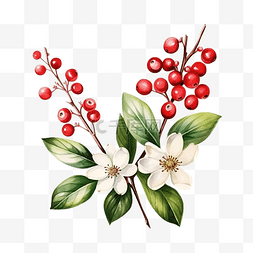 受欢迎欢迎图片_明亮的水彩圣诞贺卡与雪莓