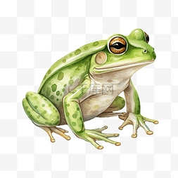 青蛙剪贴画图片_水彩青蛙剪贴画