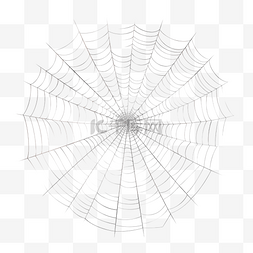 白色蜘蛛网插画