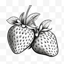 草莓线条艺术PNG