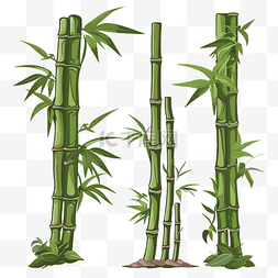 竹剪贴画白色背景上的四种卡通竹