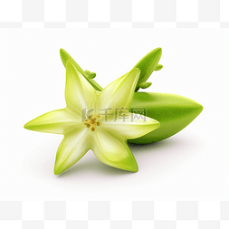 3d杨桃图片_白色背景中带种子的绿色杨桃