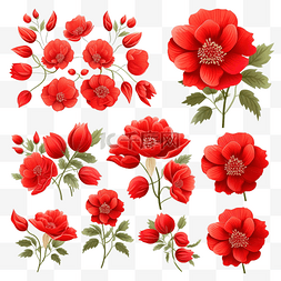 红色花朵集合 PNG 剪贴画图像