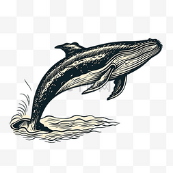 抽象鲸鱼图片_鲸鱼复古木刻