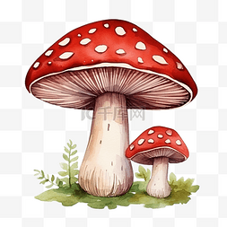 蘑菇卡通水彩