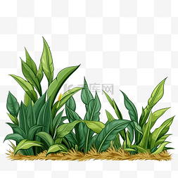香蕉叶和黄草绿色植物的背景图