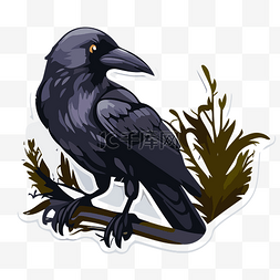 乌鸦反哺图片_躺在树枝上的黑乌鸦贴纸剪贴画 