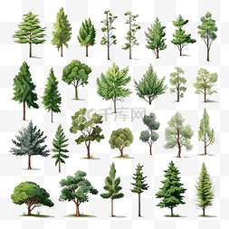森林的树木图片_小森林逼真的不同种类植物的树木
