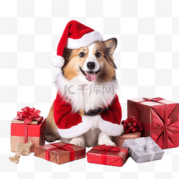 穿着圣诞老人服装的狗坐在圣诞树
