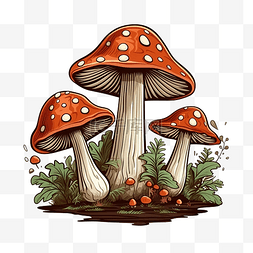 飞木耳蘑菇轮廓风格食用有机蘑菇