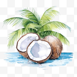 夏季香水图片_水彩椰子树海滩夏季元素海滩夏季