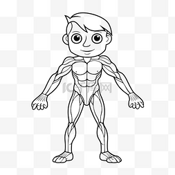 儿童解剖图片_肌肉男着色页与肌肉和手臂轮廓素