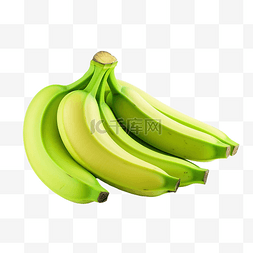 新鮮的綠色香蕉