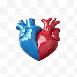 血管生理图片_3d 风格的蓝色和红色人心元素