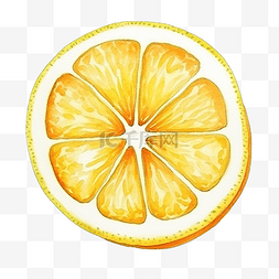 水彩柑橘柠檬片