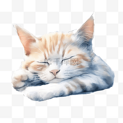 睡觉的猫图片_可爱的猫睡在水彩背景 ai 生成的