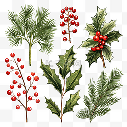 圣诞装饰松树叶图片_聖誕植物