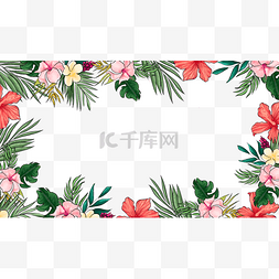 彩色花卉边框图片_热带树叶粉色花卉边框