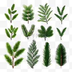 3d松树图片_圣诞树免费矢量的现实冷杉树枝集