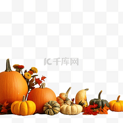 秋季收获万圣节或感恩节概念，混