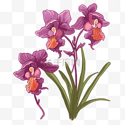 蘭花卡通图片_兰花剪贴画 兰花是用紫色和橙色