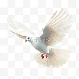 飞翔白色鸽子图片_白鸽飞翔孤立插画ai生成
