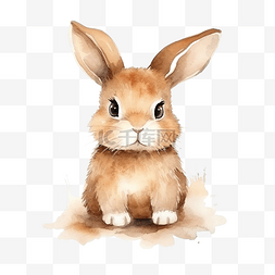 新年测运势图片_可爱的兔子插画水彩艺术