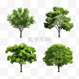 森林报警图片_cartspring 树 3d 渲染集合
