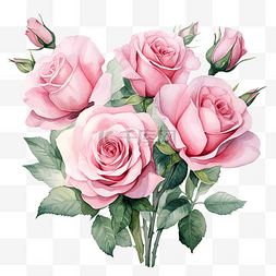 粉红浪漫背景图片_粉红玫瑰花束水彩画