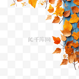 植物树子图片_蓝色桌子上的橙色秋叶