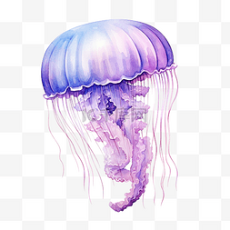 手绘水彩海洋动物图片_水母水彩海洋动物剪贴画
