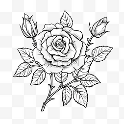 美丽的图形玫瑰植物涂鸦风格