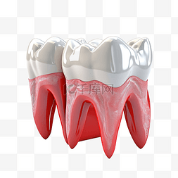 牙齿 牙龈 PNG 牙科图像 PNG