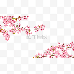 樱花梦幻图片_春天樱花纸条边框粉色