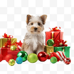 小有趣可爱的狗与圣诞玩具