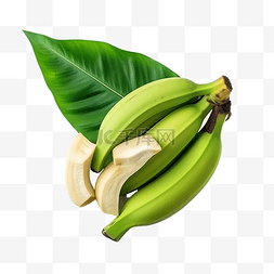香蕉叶上的绿色生香蕉和香蕉花