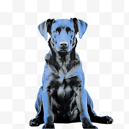 蓝色的小狗图片_蓝色的狗坐着
