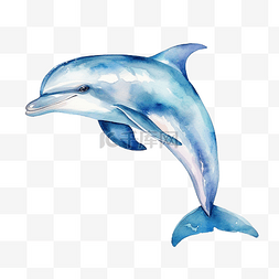 水彩海豚剪贴画